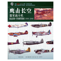 鹰击长空：盟军战斗机