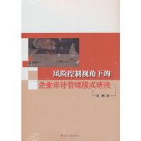 风险控制视角下的企业审计管理模式研究