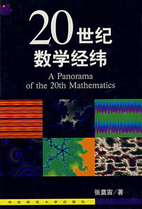20 世纪数学经纬