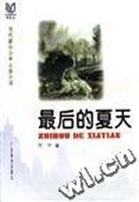 最后的夏天 当代都市少年心态小说