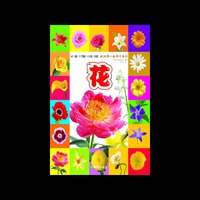 我的第一套学习系列：花