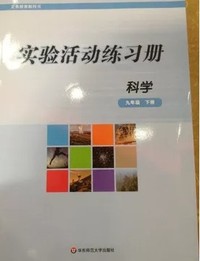实验活动练习册初三九年级下册