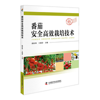 番茄安全高效栽培技术