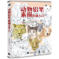 动物铅笔素描基础入门