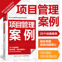 项目管理案例