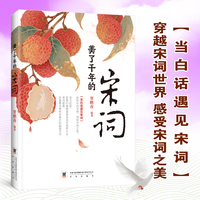 美了千年的宋词正版当白话文遇见宋词穿越宋词世界感受宋词之美古文学语言魅力中国古诗词鉴赏书籍