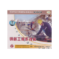 钢筋工操作技能(VCD)