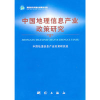 中国地理信息产业政策研究