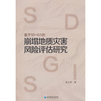 基于SD-GIS的崩塌地质灾害风险评估研究