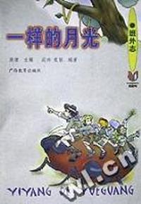 一样的月光