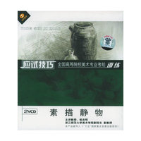 应试技巧全国高等院校美术专业考前训练素描静物(2VCD)
