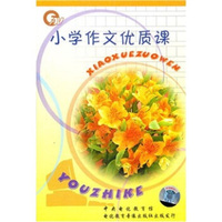 小学作文优质课（12VCD）