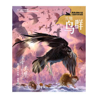 黑鹤动物小说儿童彩绘拼音版·雪地鸟群