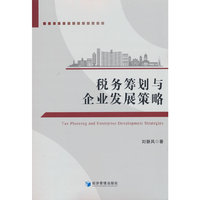 税务筹划与企业发展策略