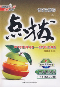 10春点拨九年级化学R(人教)下