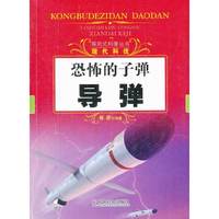 恐怖的子弹：导弹