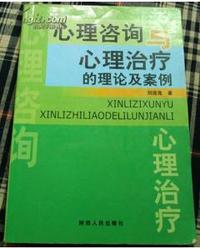 心理咨询与心理治疗的理论及案例