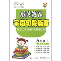 精英教程·字词句段篇章：6年级（下）（配人教版）