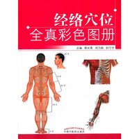 经络穴位全真彩色图册