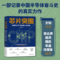 财之道丛书·芯片突围：中国芯片产业的奋斗与变革