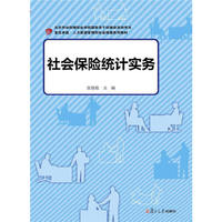 卓越·人力资源管理和社会保障系列：社会保险统计实务