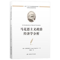 马克思主义政治经济学分析