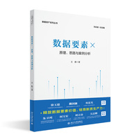数据要素×：原理、思路与案例分析 数据资产系列丛书