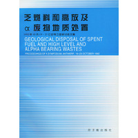 乏燃料和高效及α废物地质处置