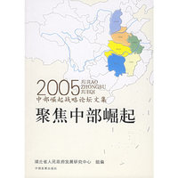 聚焦中部崛起：2005中部崛起战略论坛文集