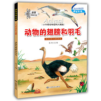 小牛顿动物百科大揭密 动物的翅膀和羽毛