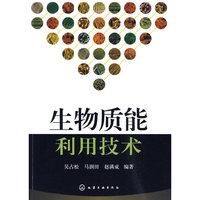 生物质能利用技术