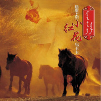 乌卡卡：悬崖上的小红花(CD)