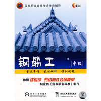 国家职业资格考试考前辅导中级钢筋工3碟