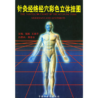 针灸经络经穴彩色立体挂图