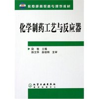 化学制药工艺与反应器/教育部高职高专规划教材
