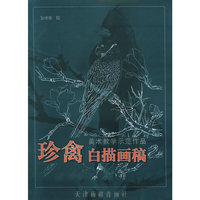 珍禽白描画稿——美术教学示范作品