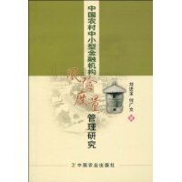 中国农村中小型金融机构风险度量管理研究
