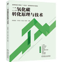 二氧化碳转化原理与技术   林雄超 刁琰琰 刘迪 徐恒    碳储科学与工程 碳中和