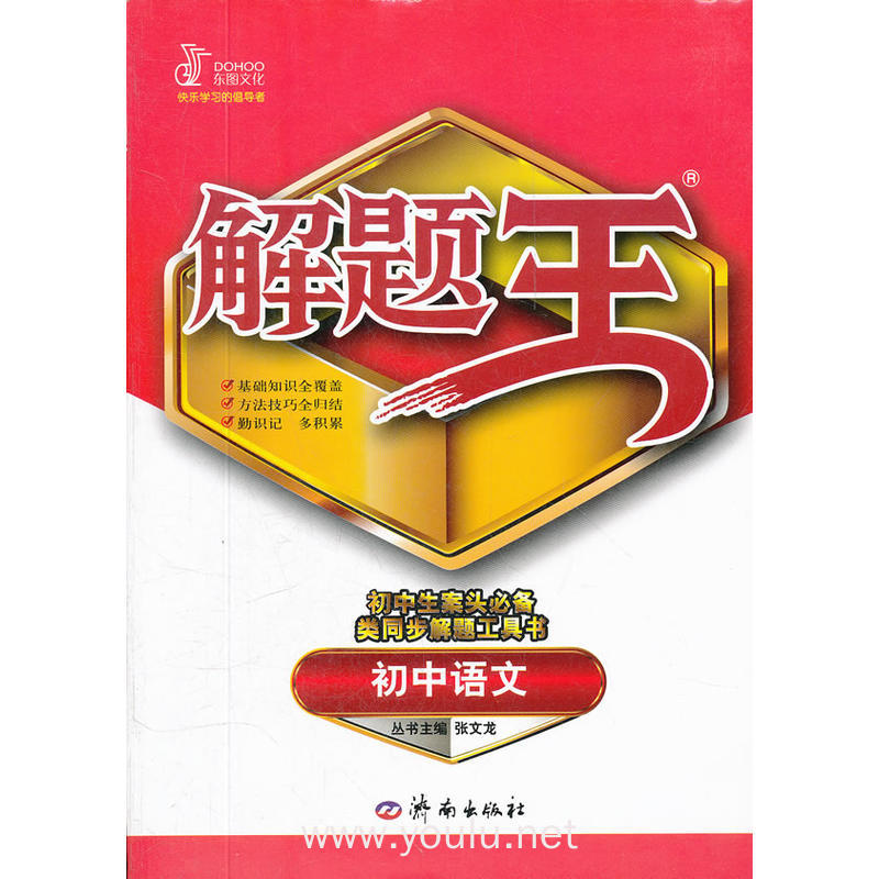 初中解题王语文