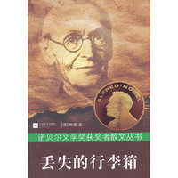 丢失的行李箱