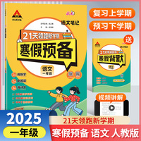 25版状元笔记寒假预备一年级语文人教版 寒假衔接训练默写阅读天天练寒假快乐假期21天领跑新学期