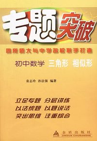 专题突破.初中数学三角形相似形