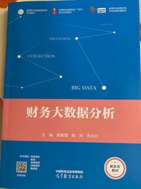 财务大数据分析
