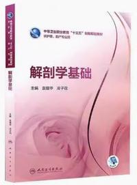 解剖学基础