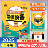 25版状元笔记寒假预备二年级语文人教版 寒假衔接训练默写阅读天天练寒假快乐假期21天领跑新学期