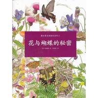 花与蝴蝶的秘密-3