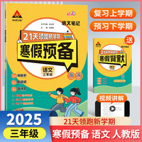 25版状元笔记寒假预备三年级语文人教版 寒假衔接训练默写阅读天天练寒假快乐假期21天领跑新学期