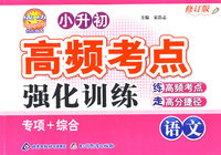 小升初高频考点强化训练：语文