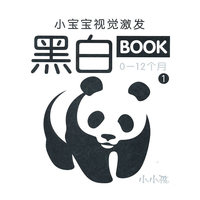 小宝宝视觉激发黑白BOOK0-12个月-1