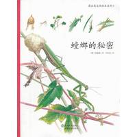 蟑螂的秘密-5